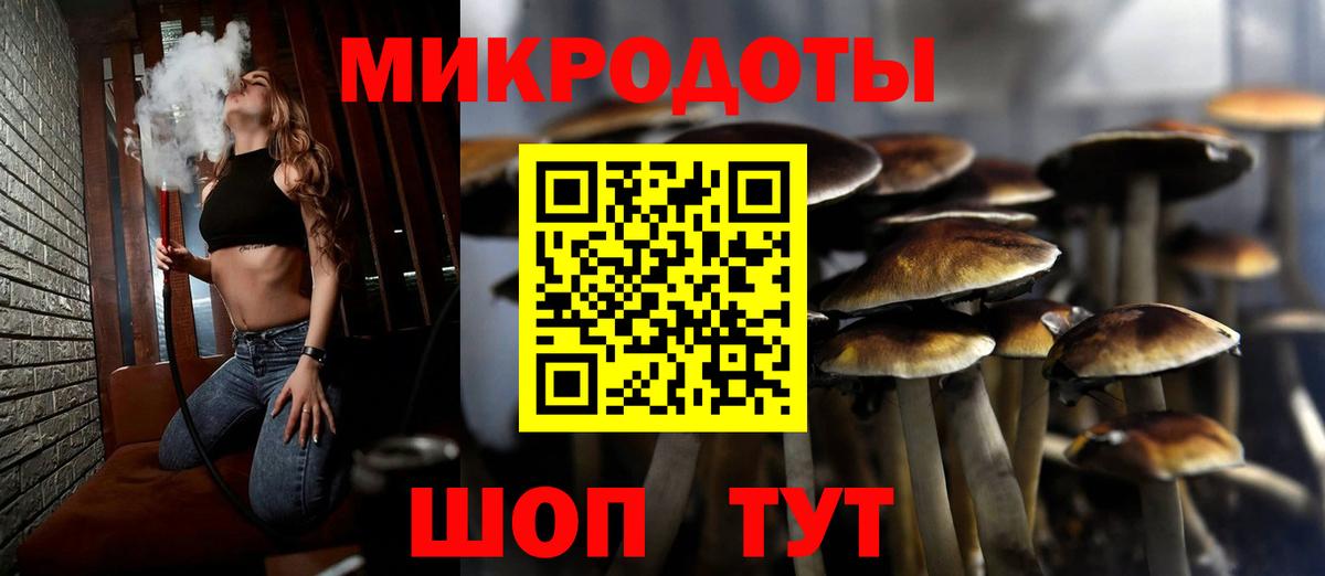 Черняховск  Галлюциногенные грибы Psilocybine cubensis  Вход с VPN 